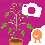 Plant Journal App Icon