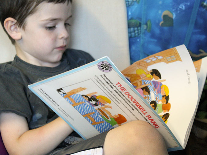 Close-up of a boy holding the book The Doorbell Rang and looking at a page of it.