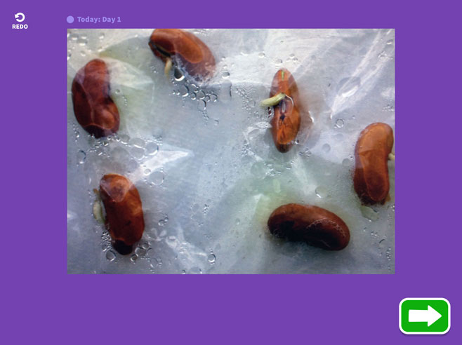 App screenshot showing a photo of seeds in a bag.
