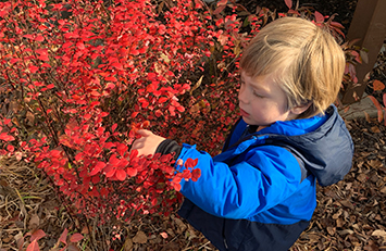 Child pointing at a plant outside.