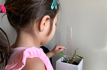 Niña midiendo una planta.