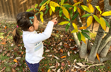 Niña apuntando a una planta afuera.