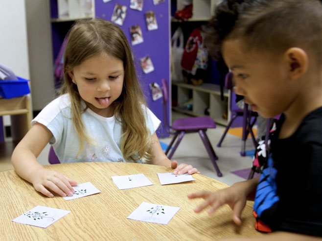 Two students sort cards showing different stages of a plant's growth into the correct order.
