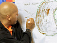 Teacher draws and labels a bean seed.