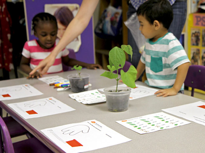 Two students sit at a table with two plants and drawing sheets. A teacher points to one child's drawing sheet.