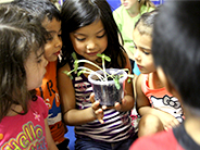 Students observe a plant.