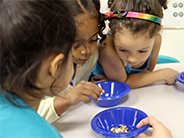Students observe seeds in a bowl.