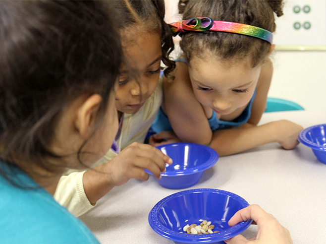 Students observe seeds in a bowl.
