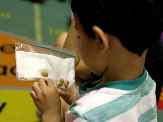 Student looking at seeds in a bag.