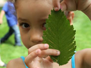 Student holds up a leaf.