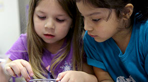 Two students looking at seeds.