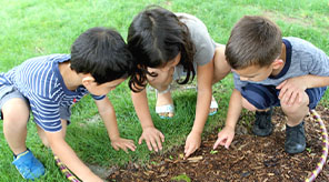 Students looking at dirt outside.