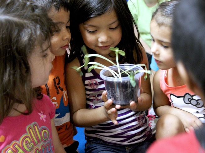 Students observing plants in a clear pot.