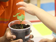 Student pointing to a plant that the teacher holds.