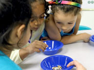Three students look at seeds in bowls.