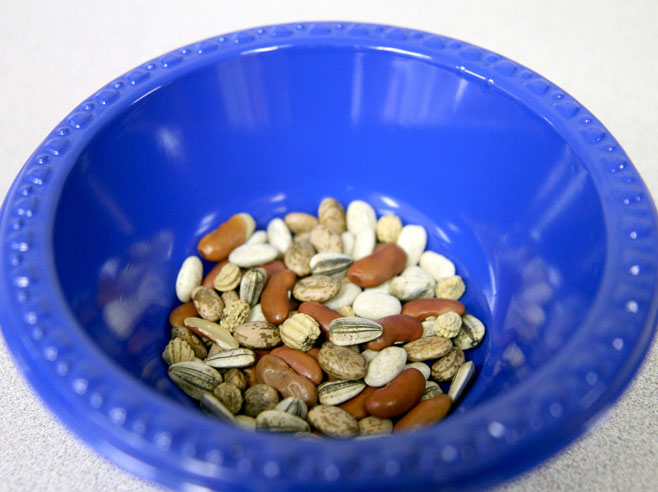 Bowl of seeds.