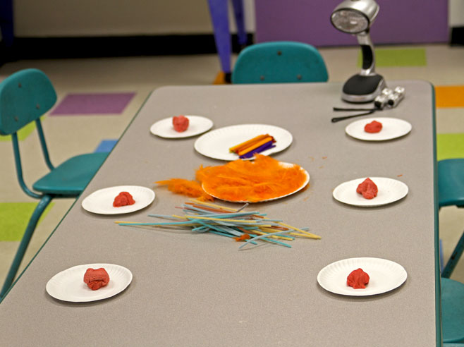 Materials to make shadow sculptures are laid out on a table: six paper plates, each with a ball of red Play-Doh; a pile of pipe cleaners; a plate of orange feathers; and a plate of multi-colored popsicle sticks.